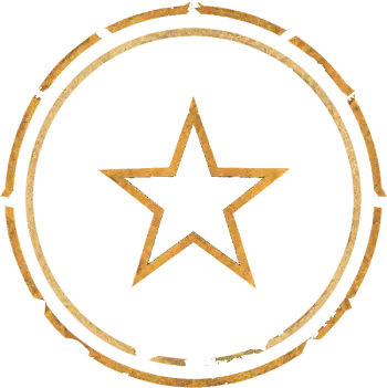 Gold star emblem with concentric circles on white background